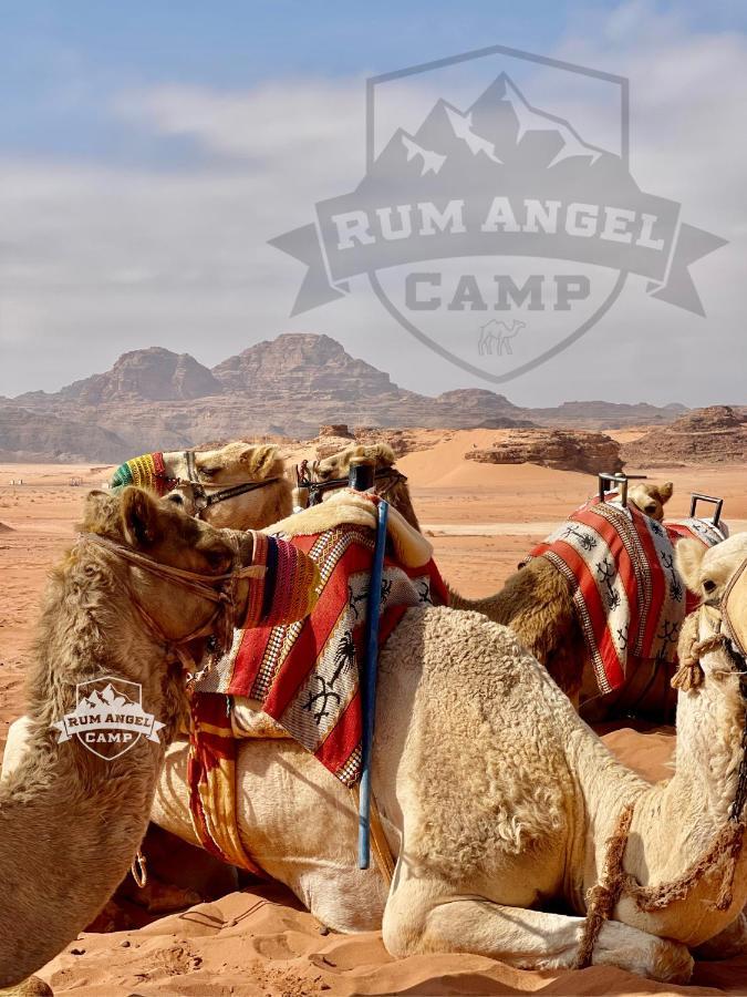 Rum Angel Camp Wadi Rum Zewnętrze zdjęcie