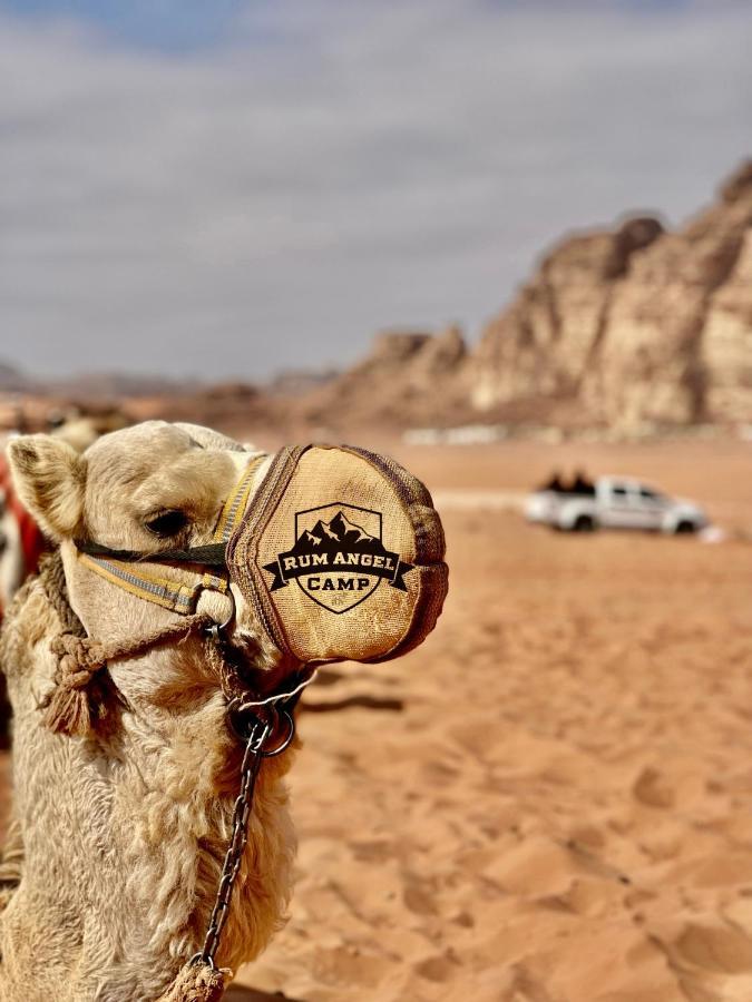 Rum Angel Camp Wadi Rum Zewnętrze zdjęcie